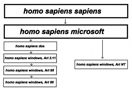 Homo Sapiens Windows Stammbaum